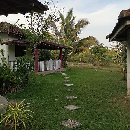 Sunshine Cafe Apartment Tangalle Bagian luar foto