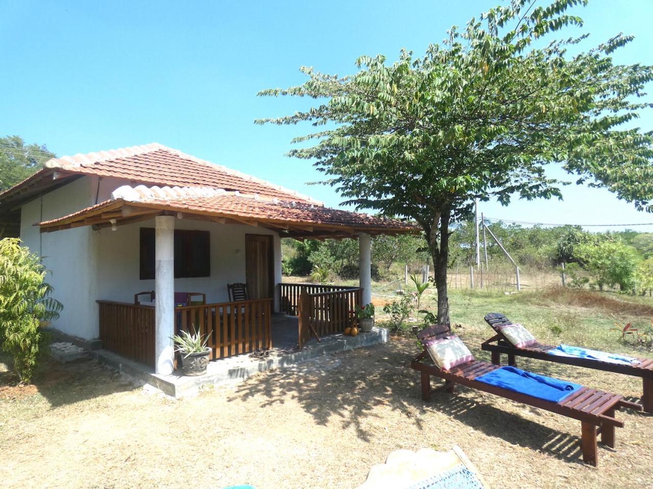 Sunshine Cafe Apartment Tangalle Bagian luar foto